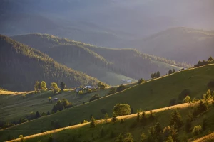 Jak raportować do BDO i KOBIZE Natychmiastowo?