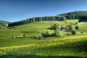Dobre strony paneli fotowoltaicznych
